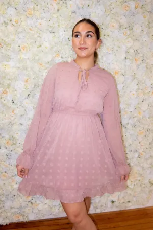Blush Swiss Dot Long Sleeve Dress