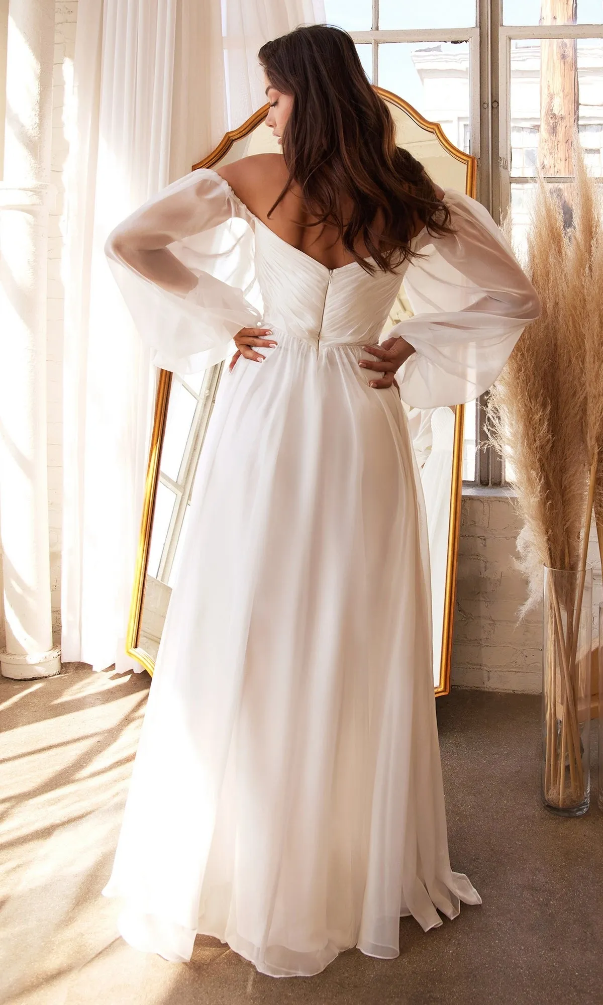 Formal Long Dress CD243W By Ladivine